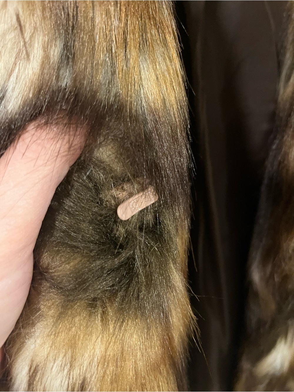 VENUS Multicolor Faux Fur Teddy Jacket in Brown & Cream Tones - Picture 6 of 9